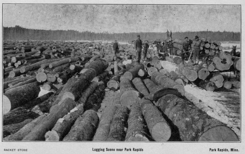 Logging Near Rivers Timber Industry - Details